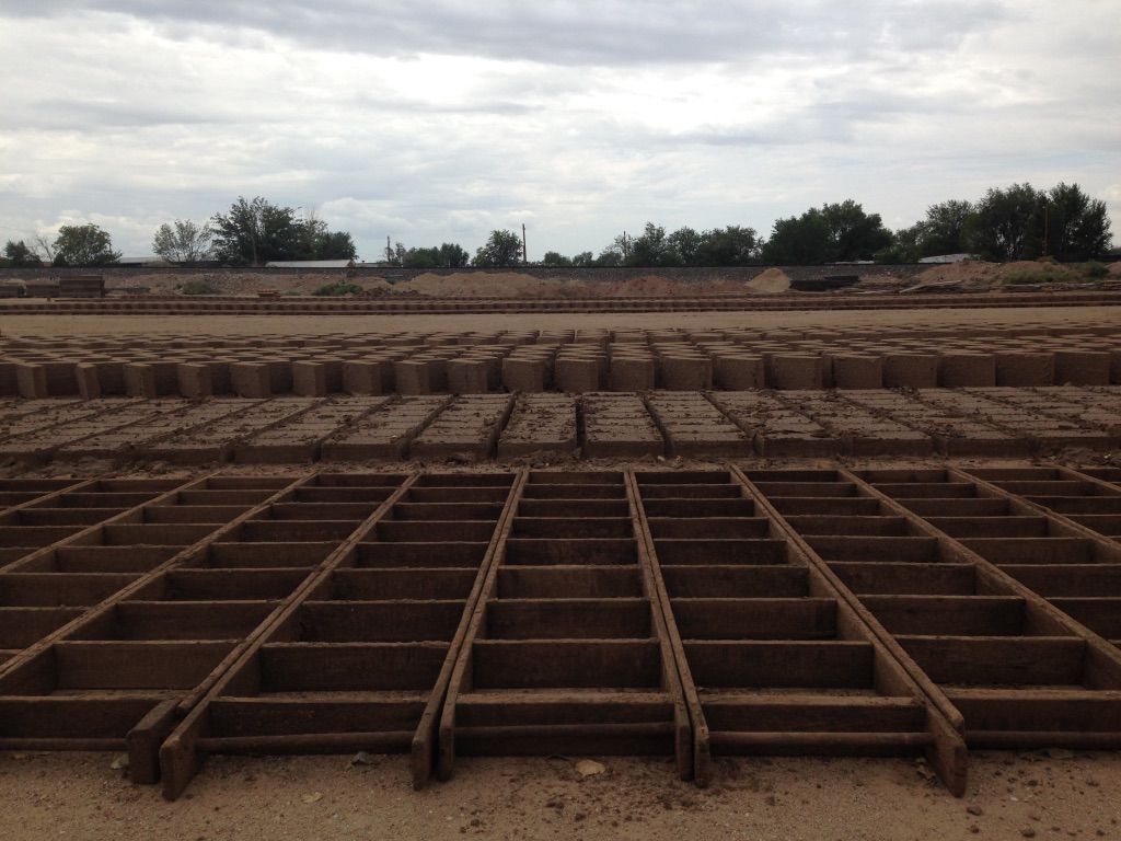 Rows of adobe molds drying in the yard